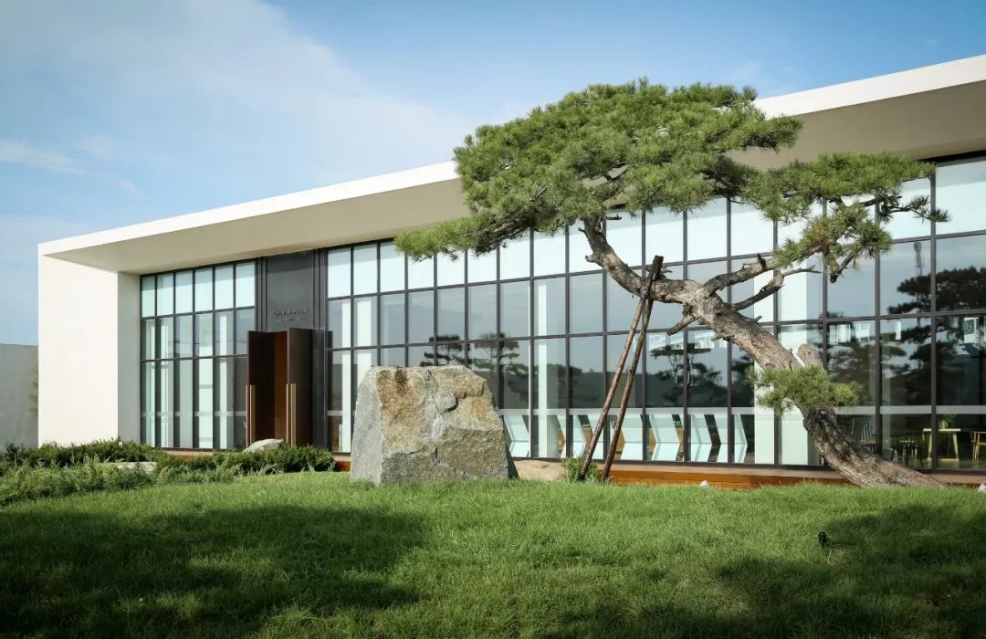 山海关金禧展示区 | 古松奇石，绘就历史画卷-29