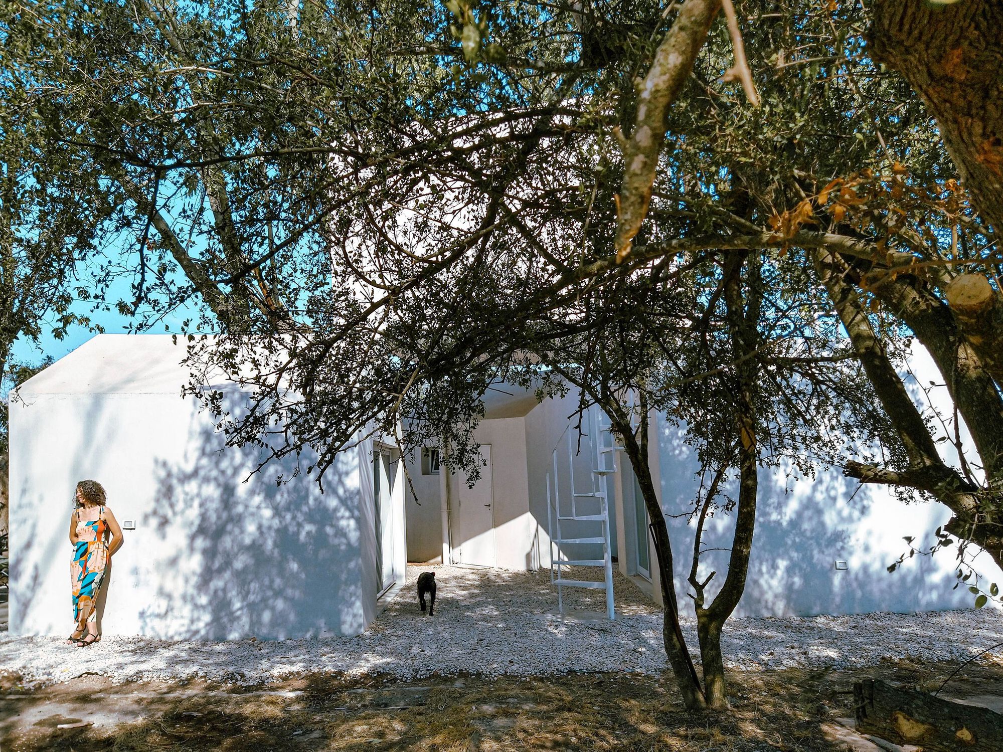 SFFR House丨阿根廷丨Mariano Ravenna-12