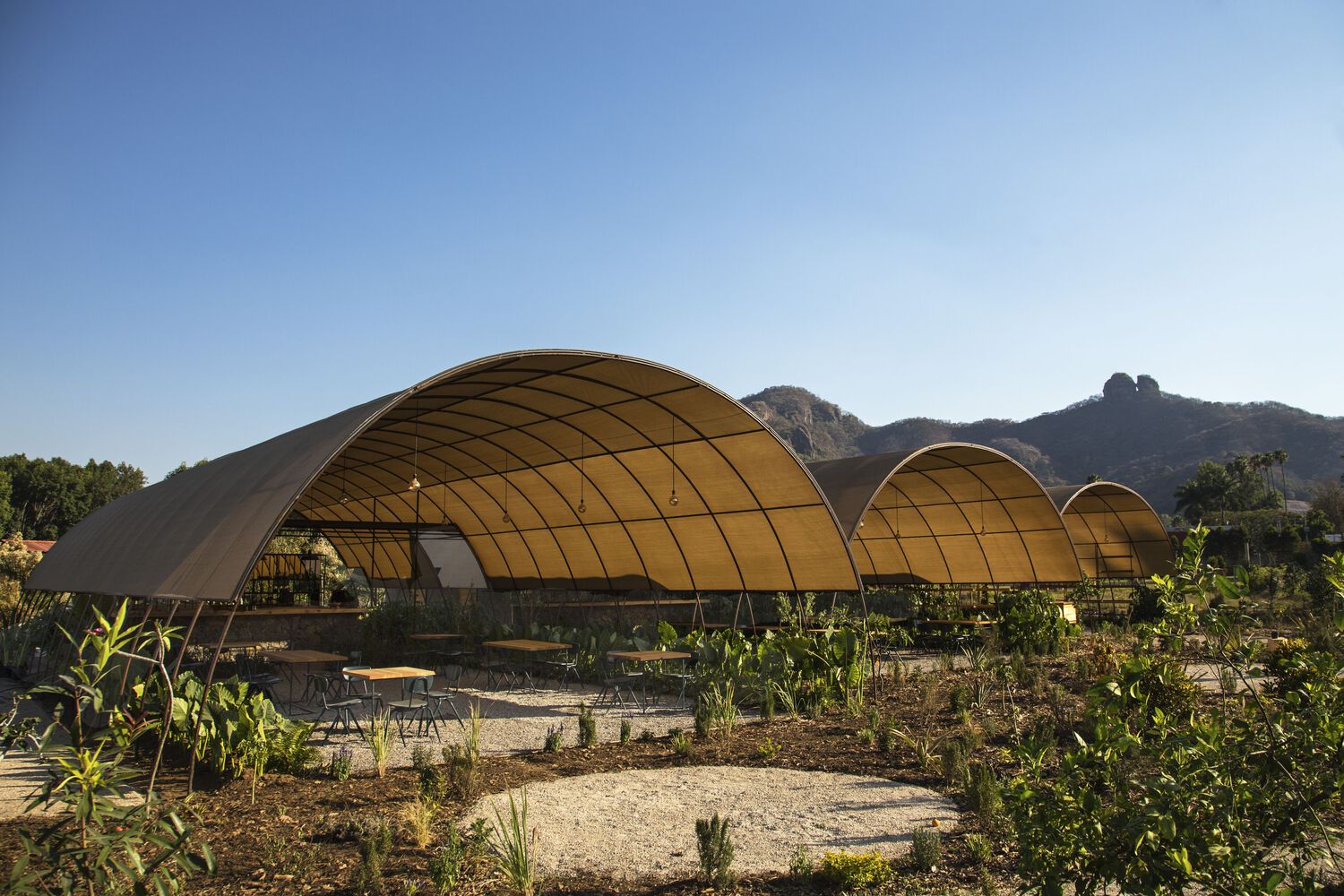 有机餐厅环保设计-0