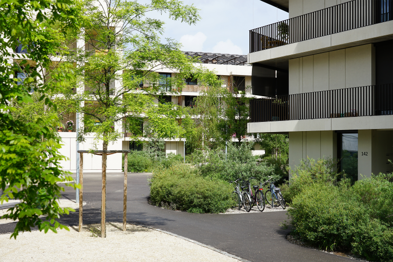 Berchtold.Lenzin Landschaftsarchitekten丨Wohnüberbauung Bachgraben丨瑞士-12