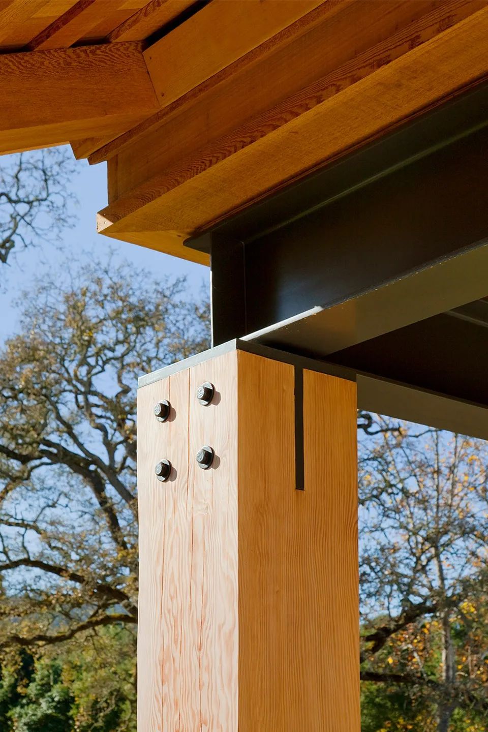 加州乡村的现代生活空间-27