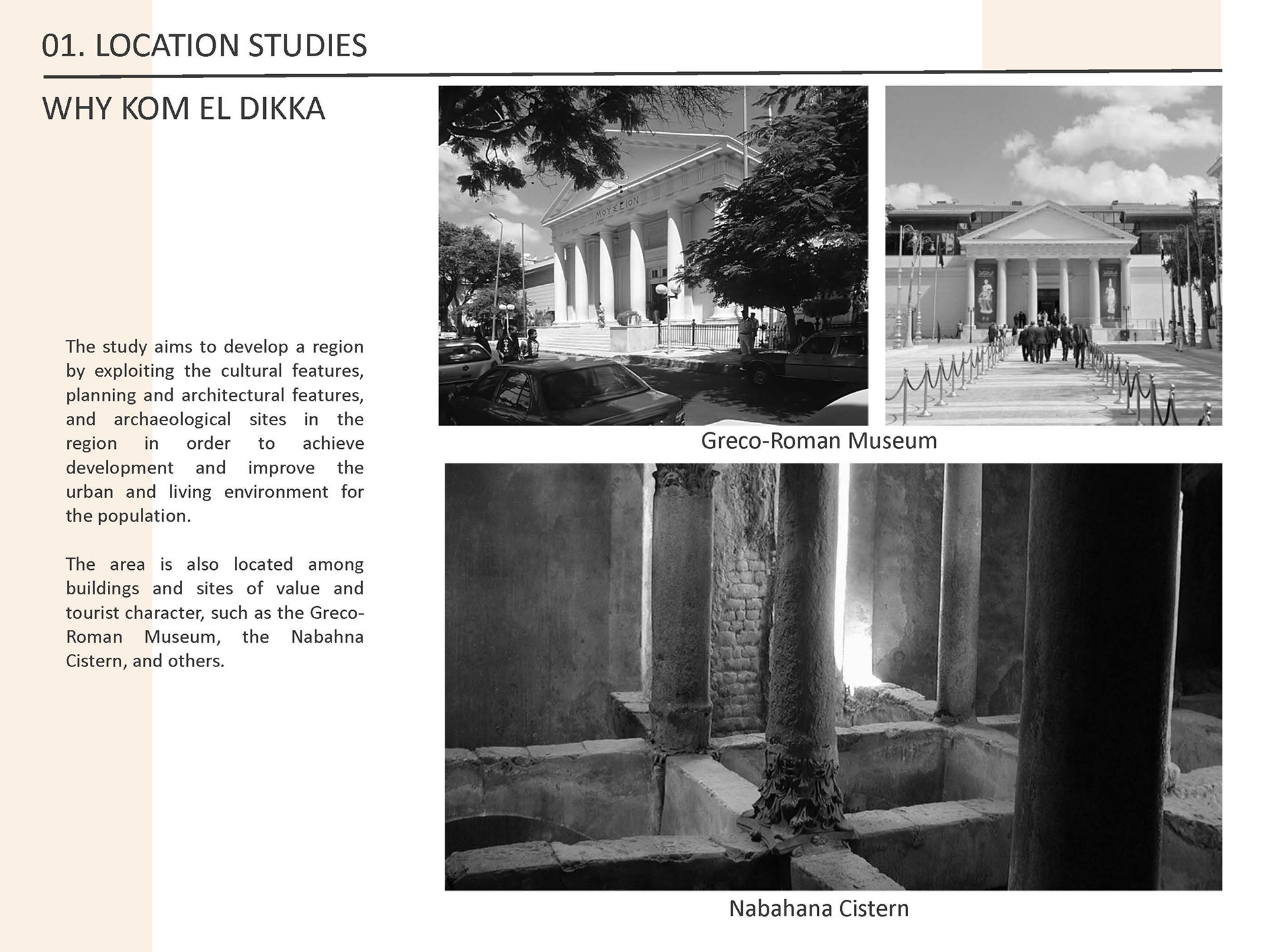 Economic housing in Alexandria region (Housing Project)-29