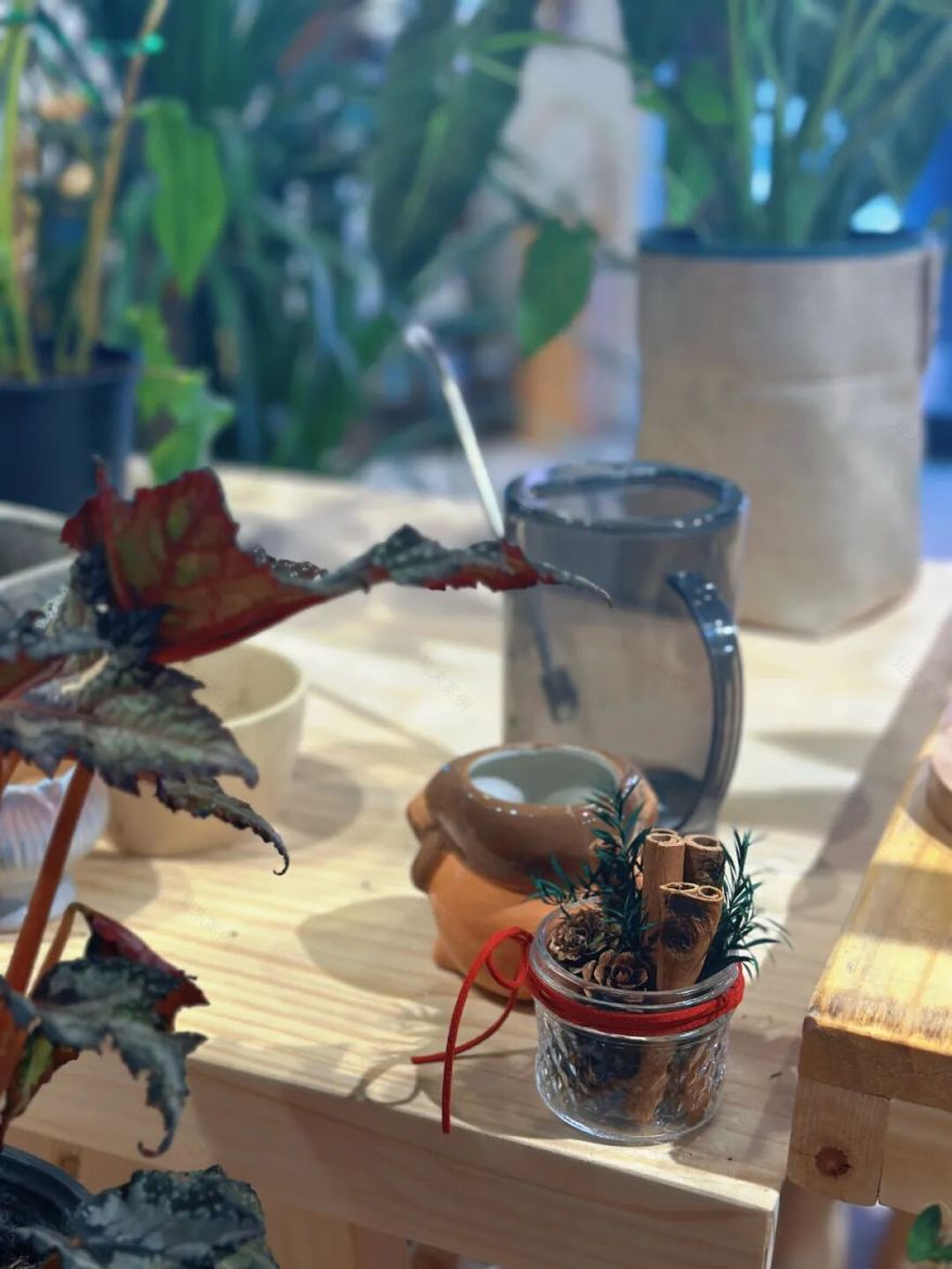 城市中的【小森林】-15