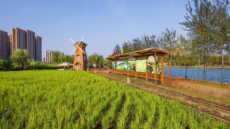 长安公园稻香园丨中国西安丨上海赤地设计事务所-15