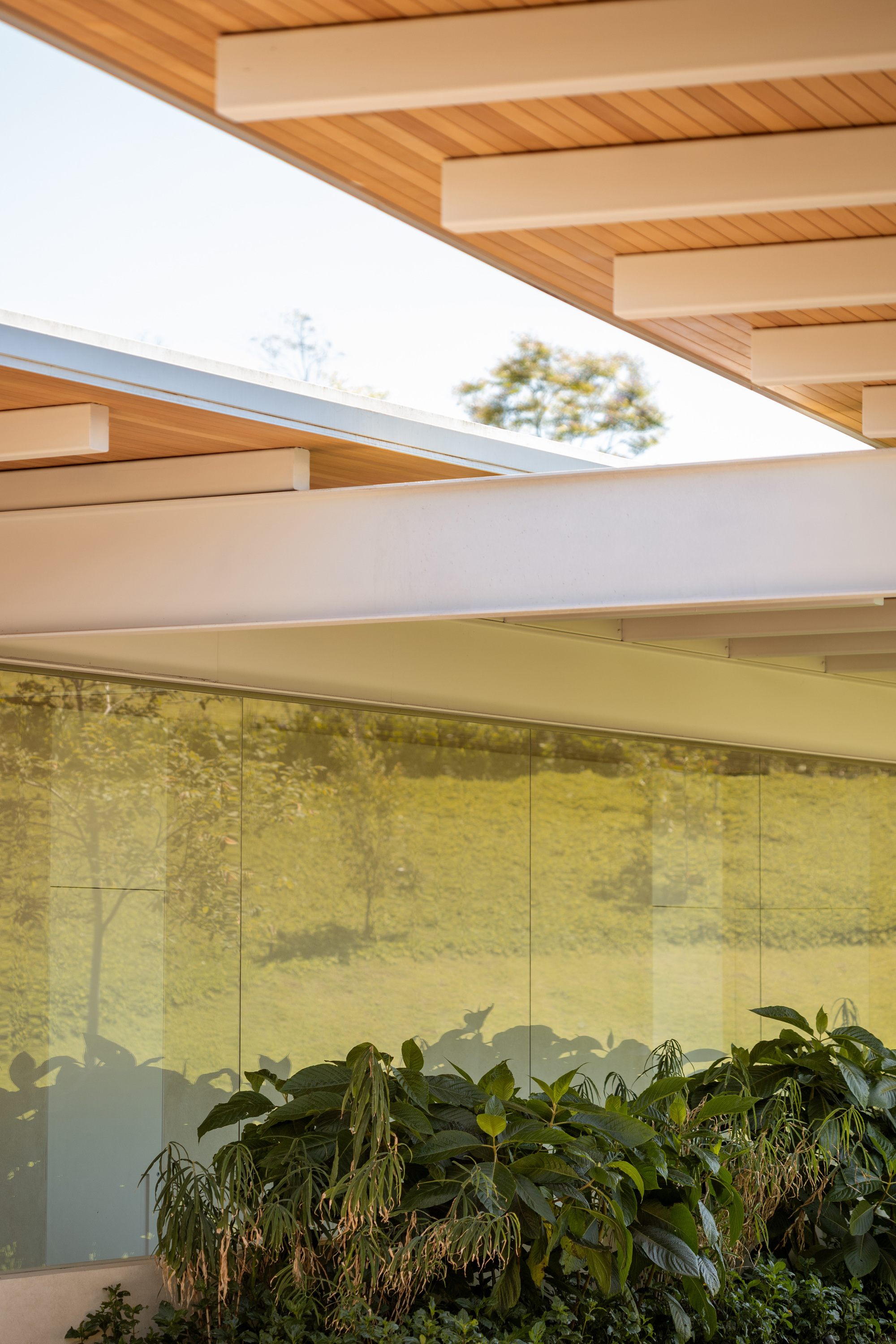 JL 住宅丨巴西圣保罗-37