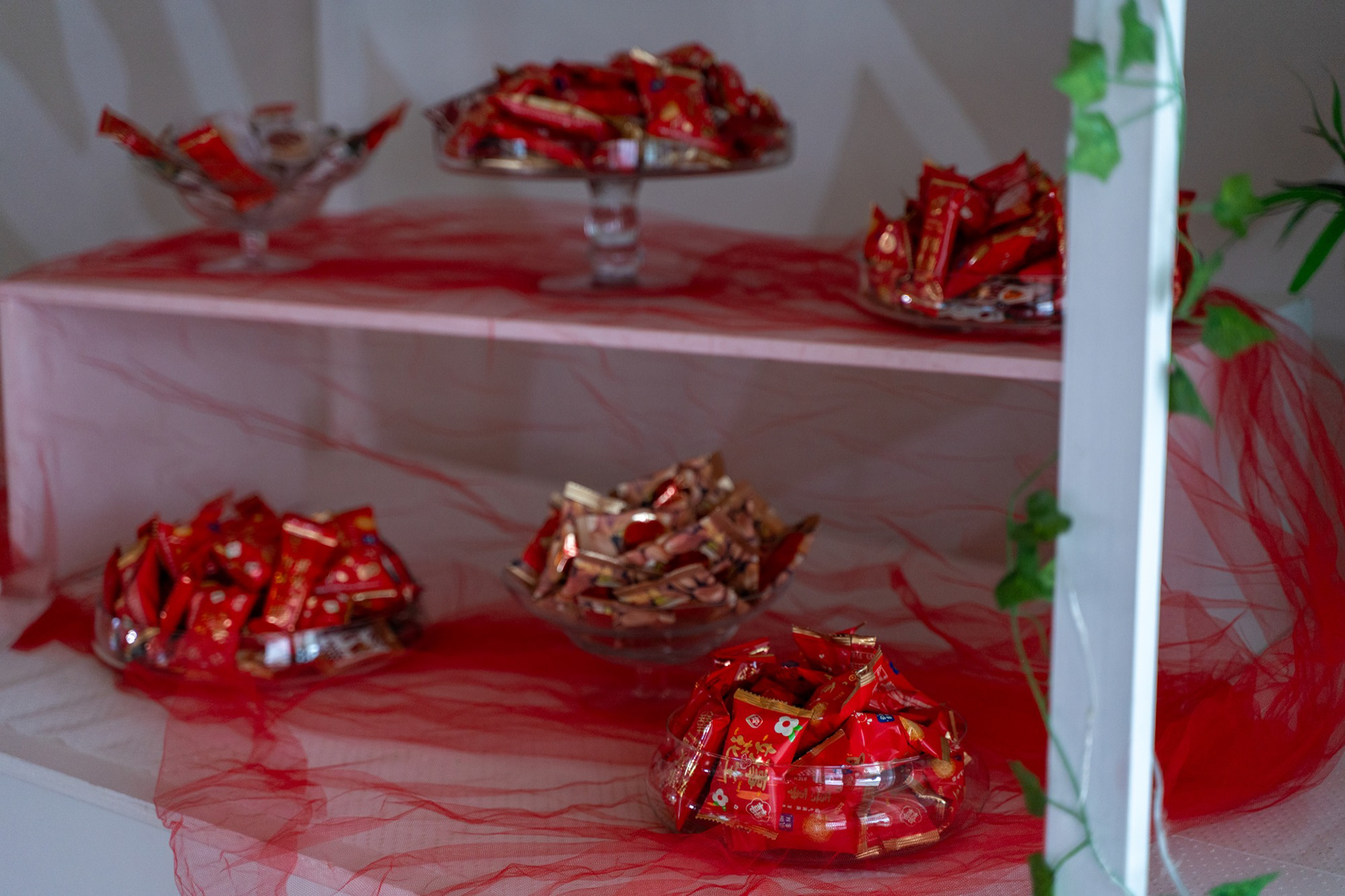 Allestimento Roggie House-3