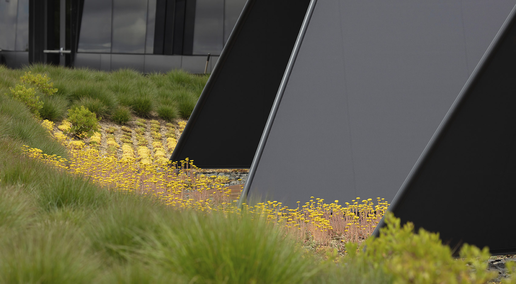 美国耐克世界总部 Serena Williams 大楼丨Skylab Architecture-32