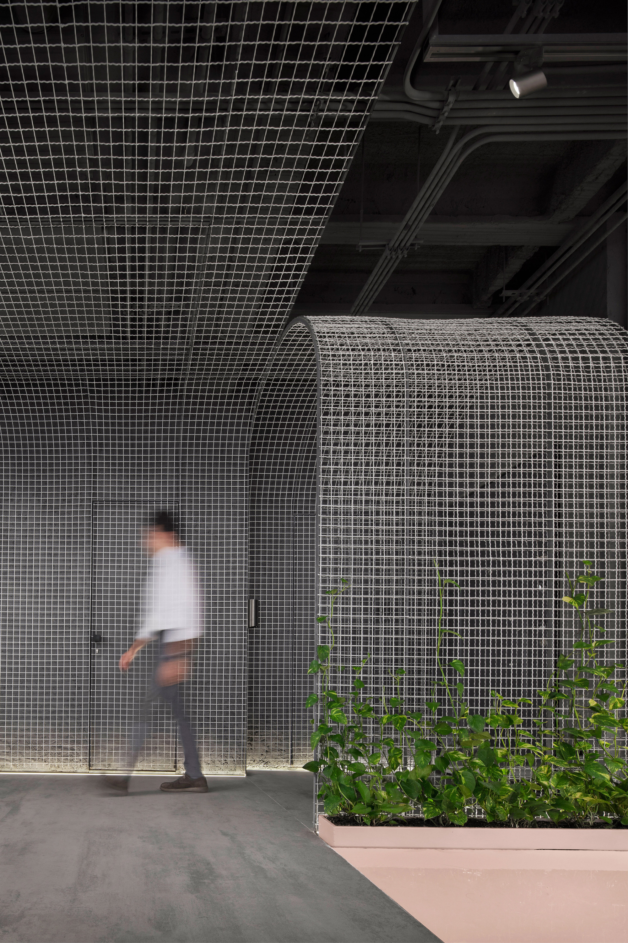 Baftar 皮肤科诊所丨伊朗德黑兰丨AsNow Design & Construct-2