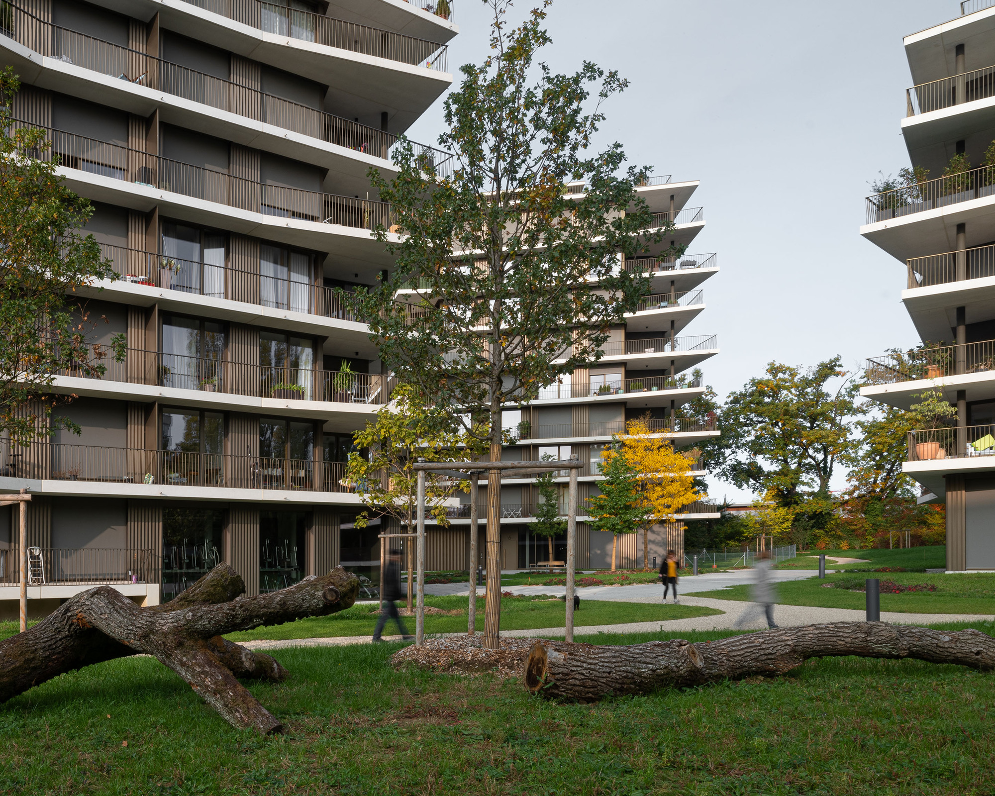 格拉德尔花园公寓丨瑞士丨LRS Architectes-24