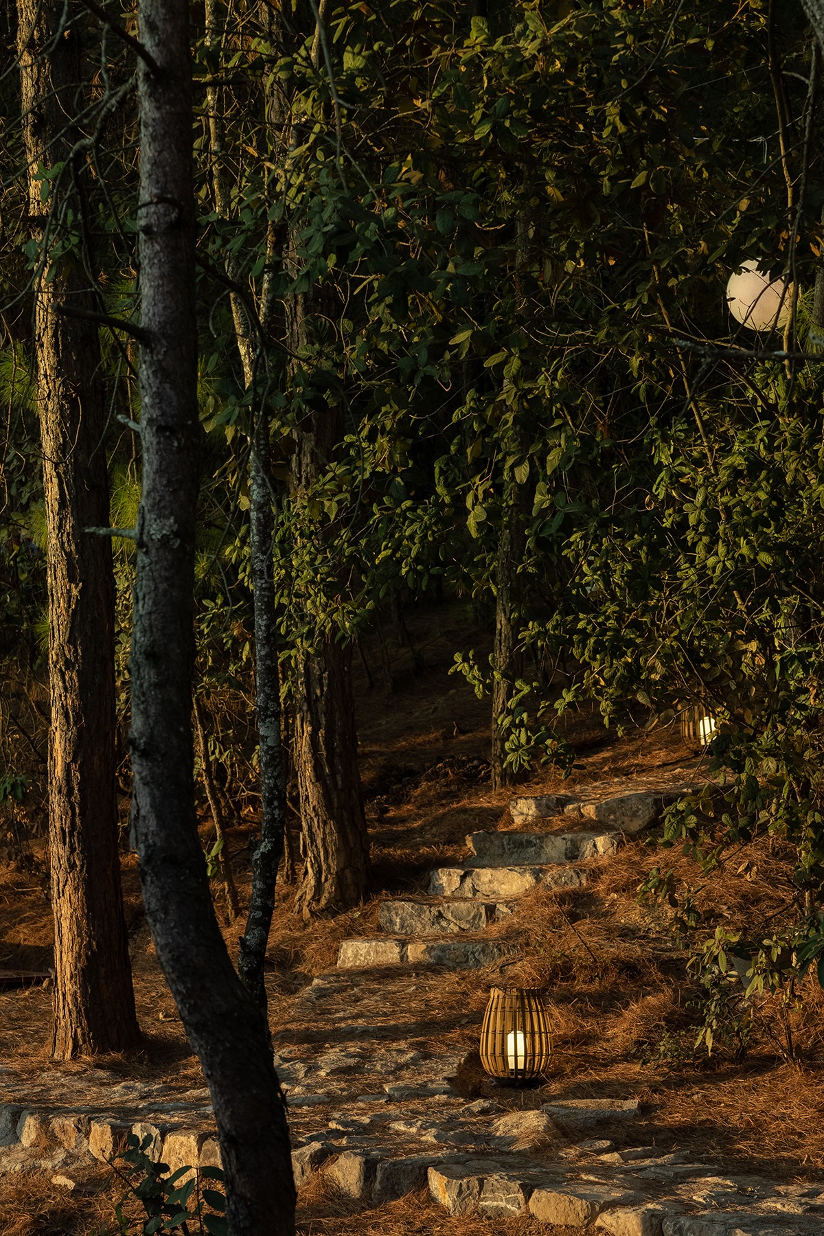 泸沽湖安下山与度假酒店丨中国丽江丨境壹空间设计-65