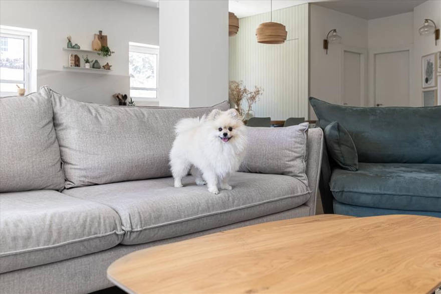 טובי כהן | עיצוב פנים בית פרטי 5 חדרים בצור משה - PICKINTERI-18