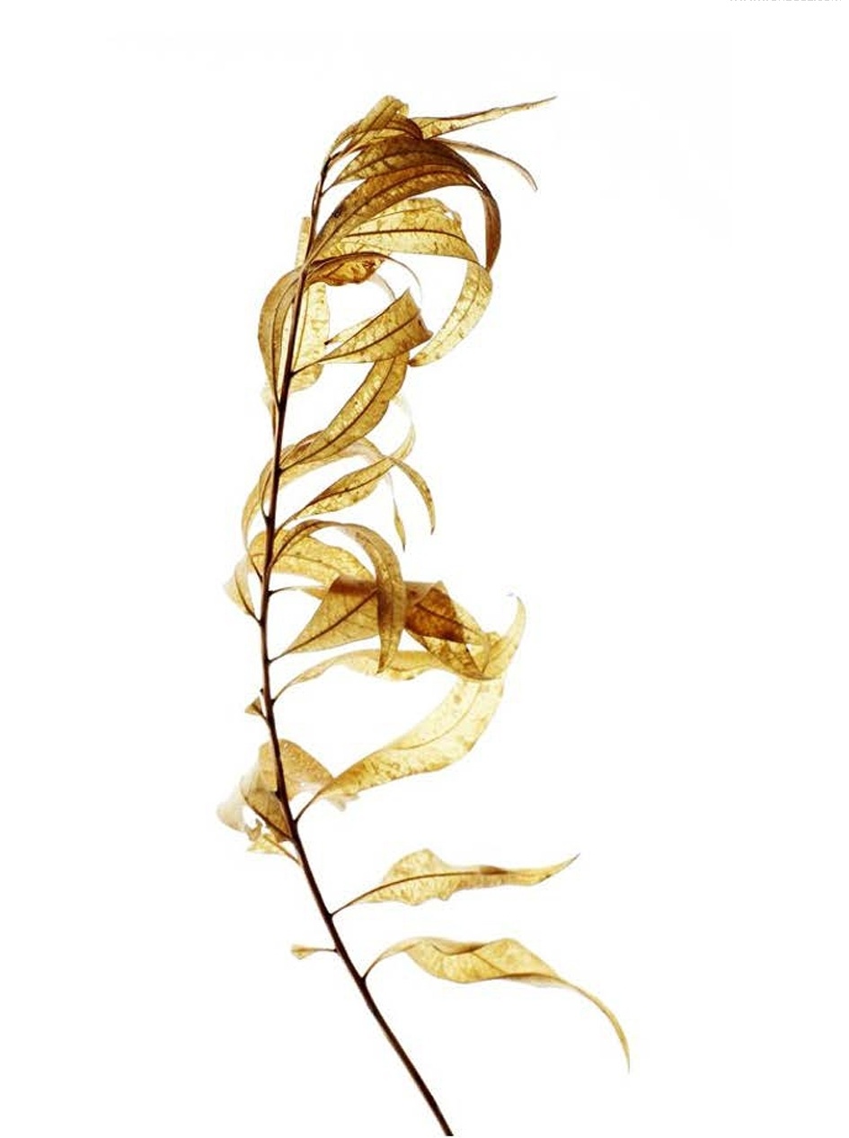 首地江山赋142㎡样板间-1