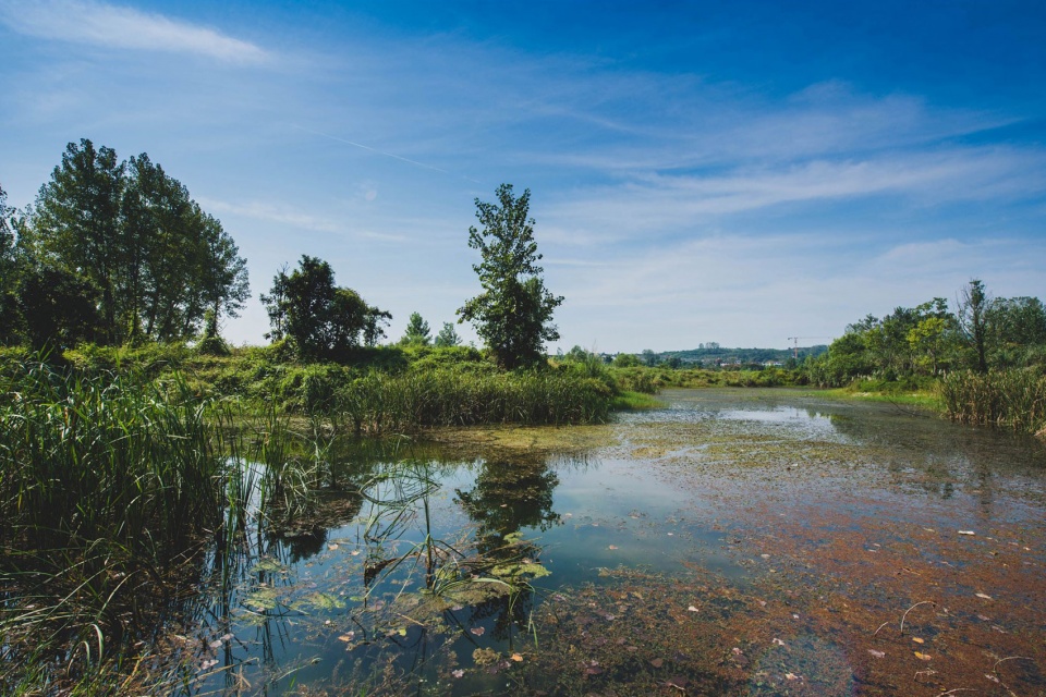 宜昌黄柏河湿地公园丨中国宜昌丨杭州园林设计院股份有限公司-113