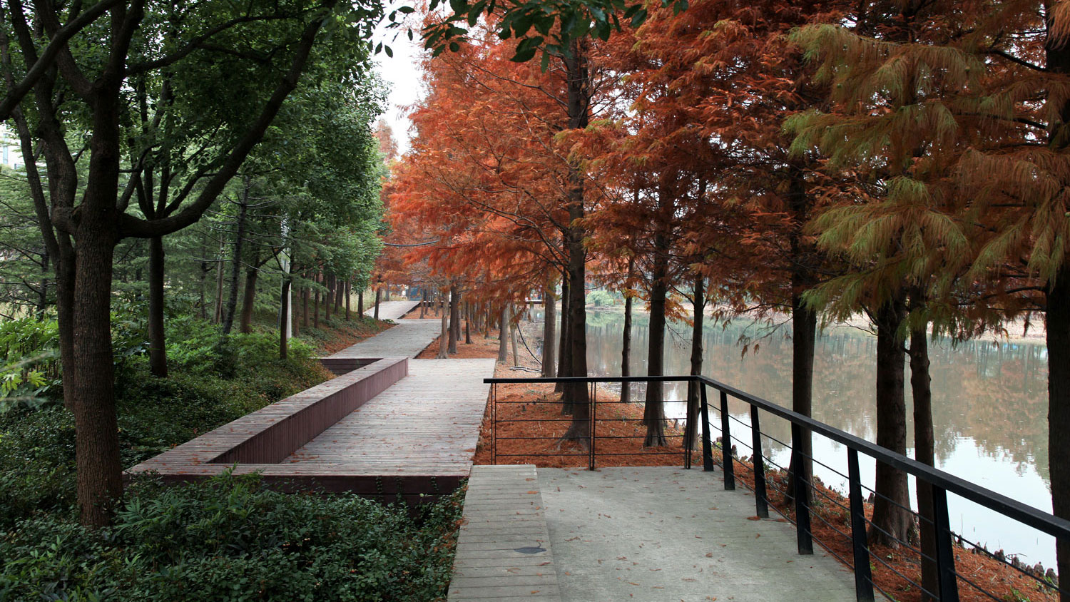 嘉定石冈门塘湿地公园-0