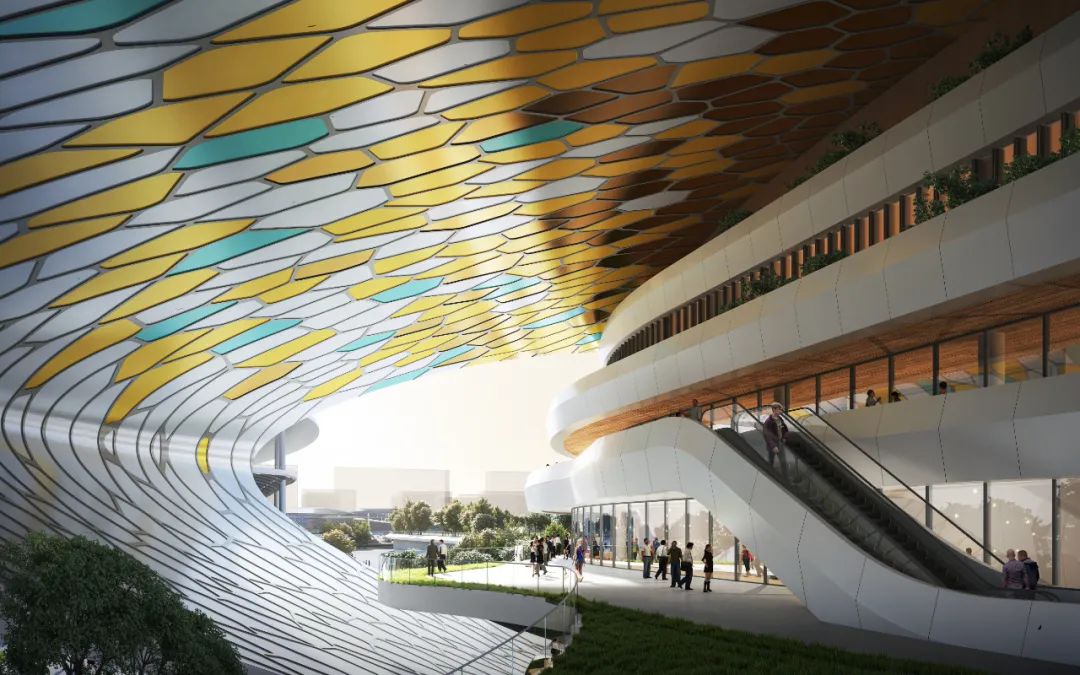 台州市体育馆建筑方案设计丨中国台州丨PTW Architects,浙江省建筑设计研究院有限公司-3