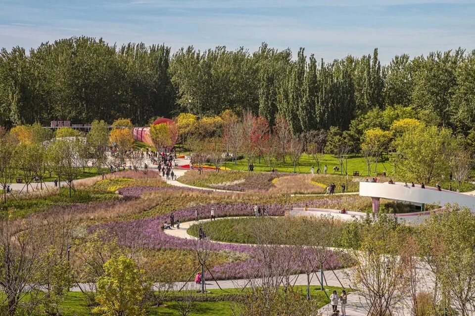 埊木设计｜花漾之境：北小河公园樱花谷环境改造提升设计-71