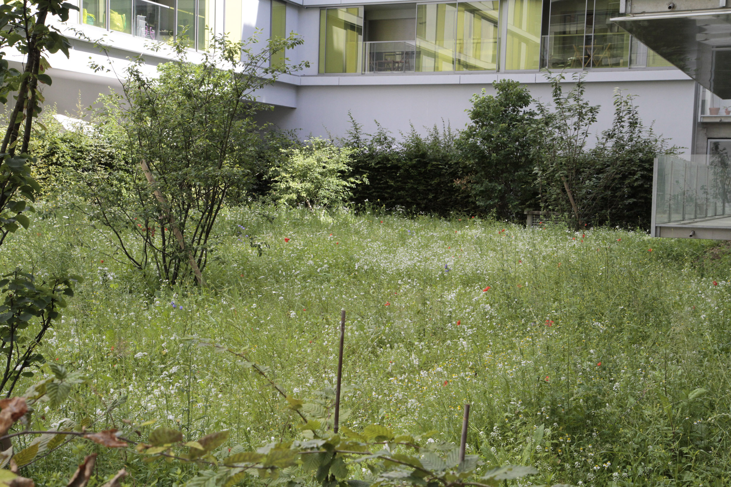 布洛涅 - 比扬古 B3 花园-27