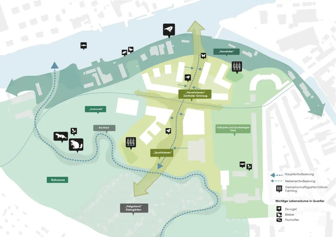 「哈弗尔湿地社区」未来的自然与城市延伸-74