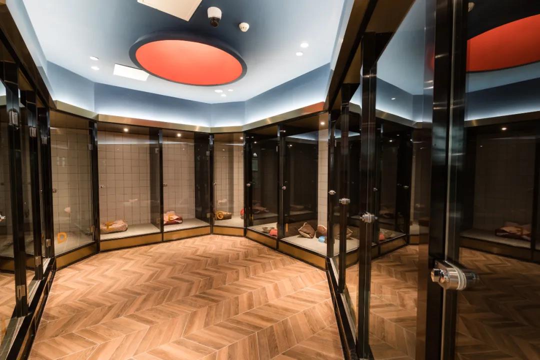 极宠家丨中国南京丨未本空间团队-54