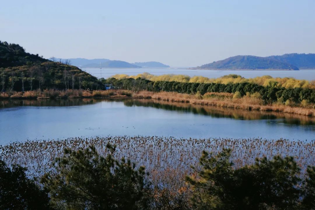 低成本梦幻小院改造丨中国南京丨思文,Ssisy,溯溯-31