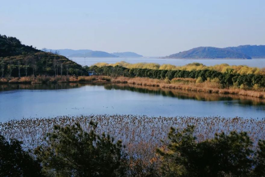 低成本梦幻小院改造丨中国南京丨思文,Ssisy,溯溯-31