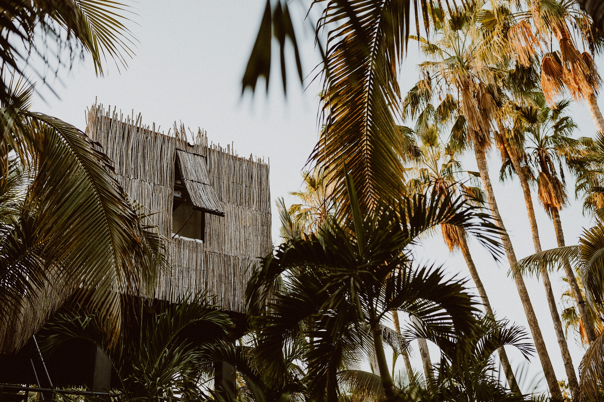 Tree Houses in Acre / FabrikG-12