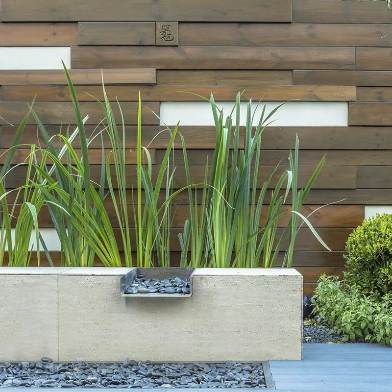 花园植物搭配的艺术与功能-71