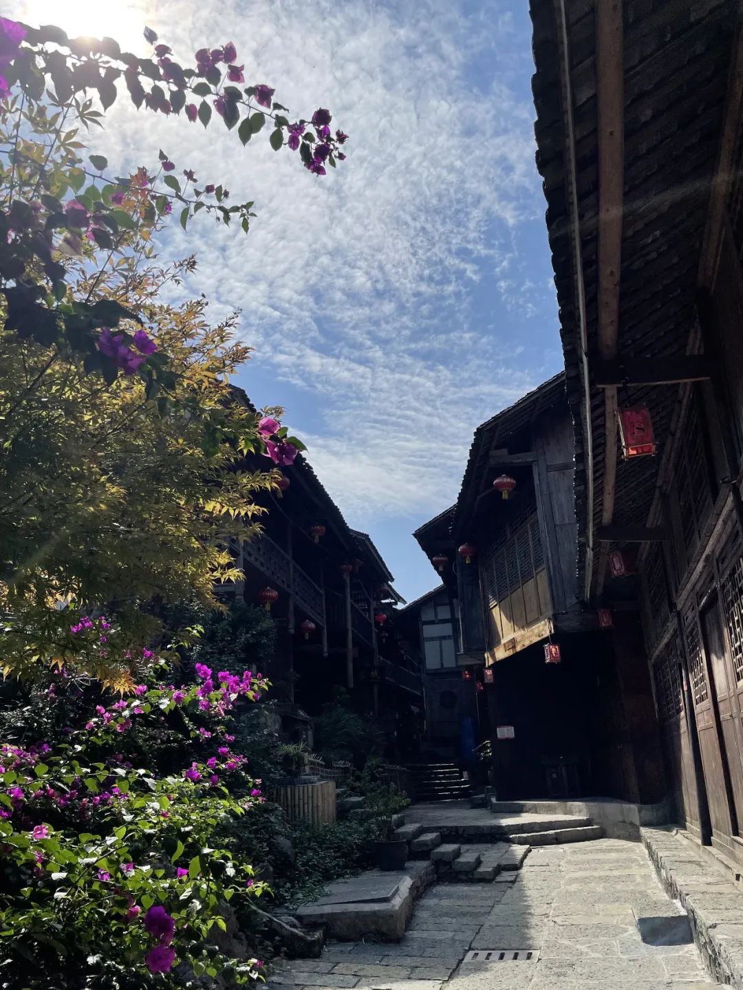 重庆亦行 · 融合自然与人文的景观设计之旅丨中国重庆丨亦境景观院-39