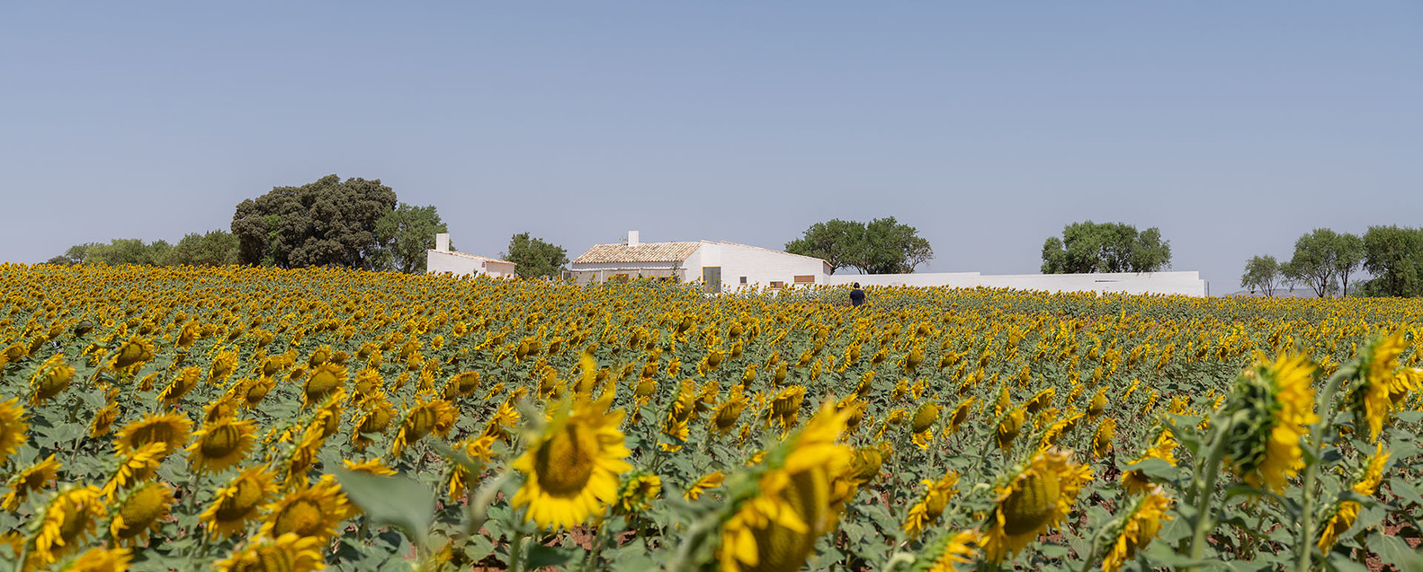 西班牙乡村别墅 · 可持续设计与自然共生-14