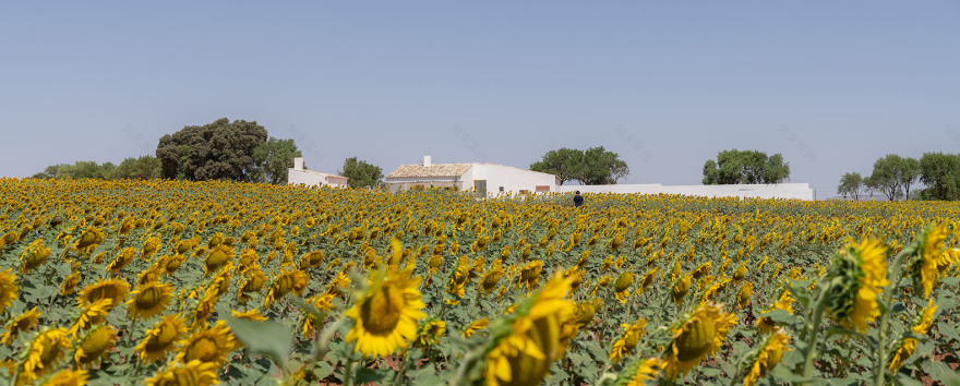 西班牙乡村别墅 · 可持续设计与自然共生-14