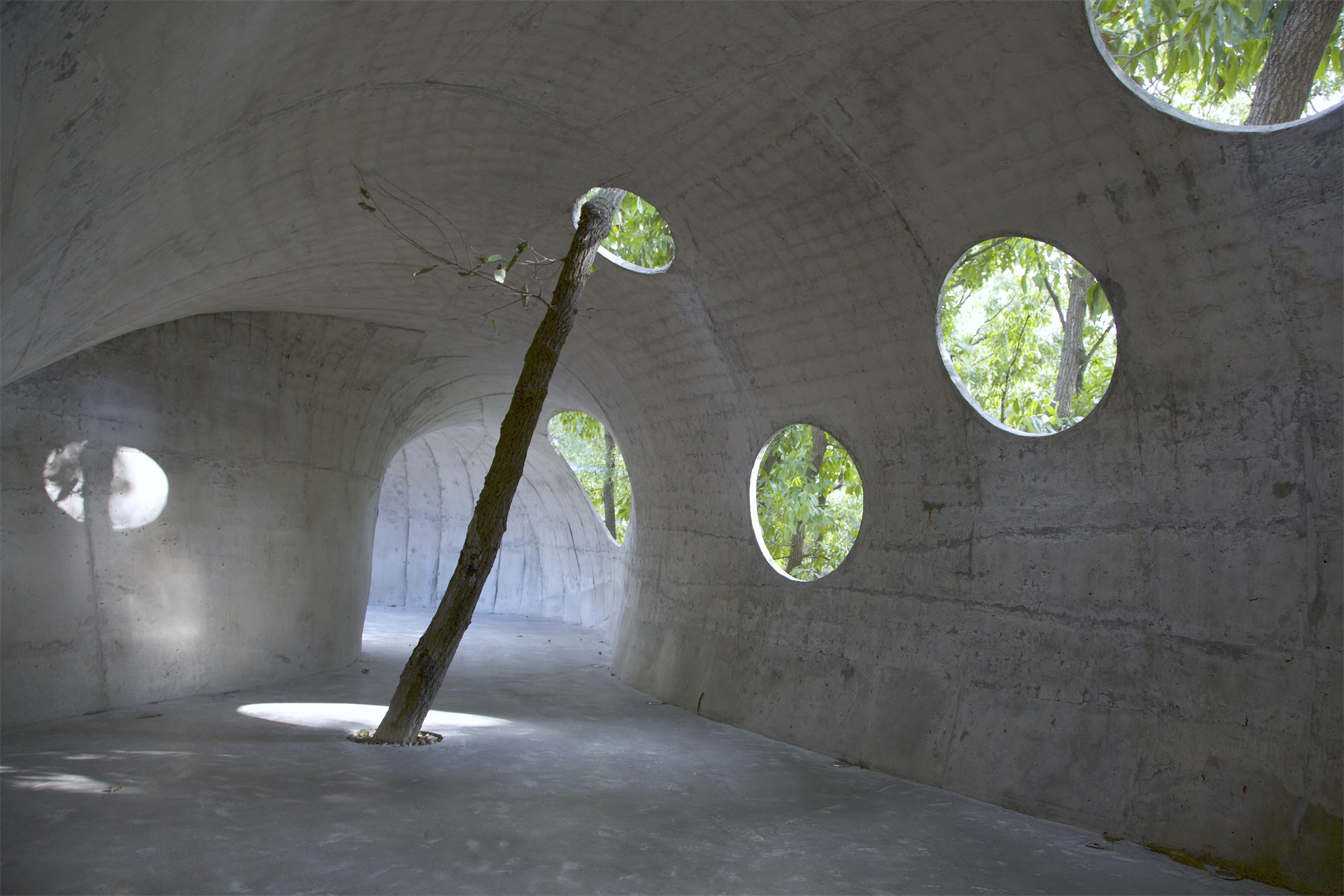 卧虎藏龙美术馆丨中国日照丨孔祥伟工作室-113