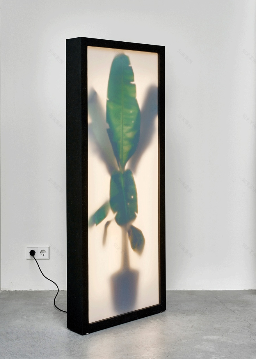 Growing Plants Indoor by Rem Atelier-8