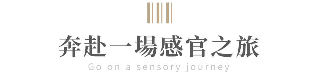 中航半岛丨中国重庆丨盘古设计-16