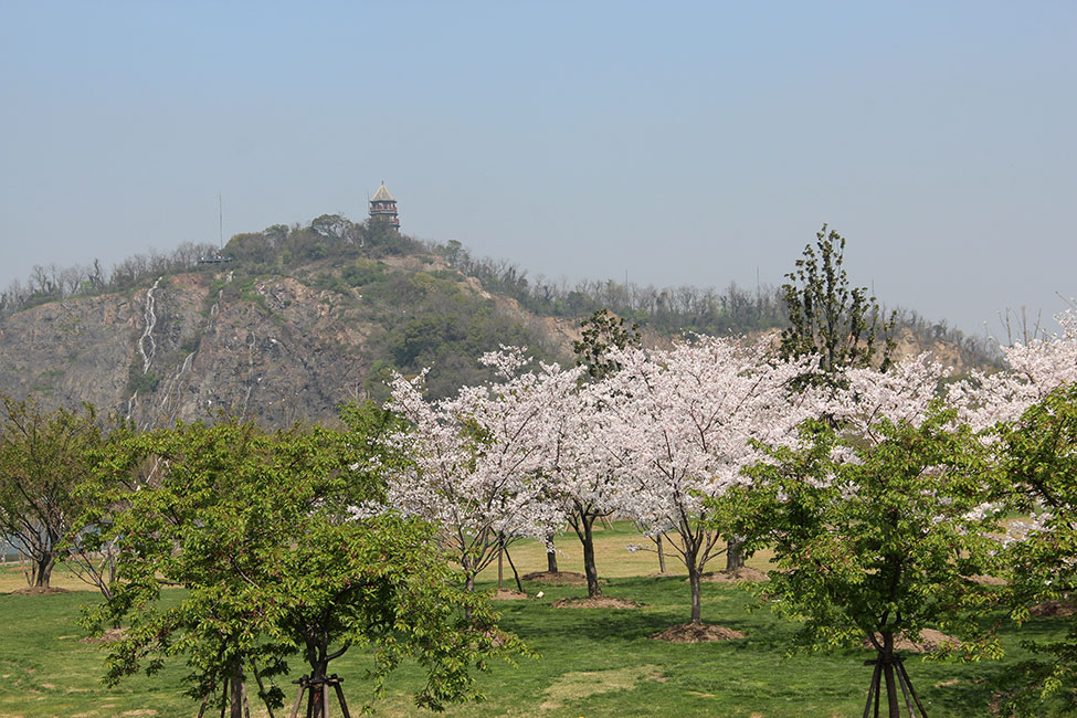 上海辰山植物园-11