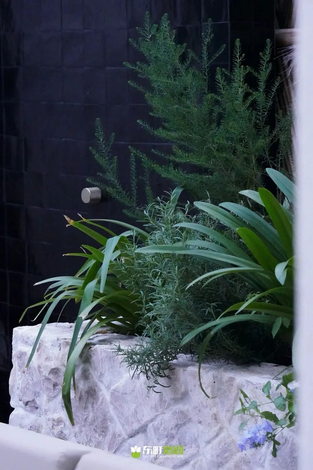 EASTTEEN LANDSCAPE系列庭院设计(含碧云诗境等5个)-58