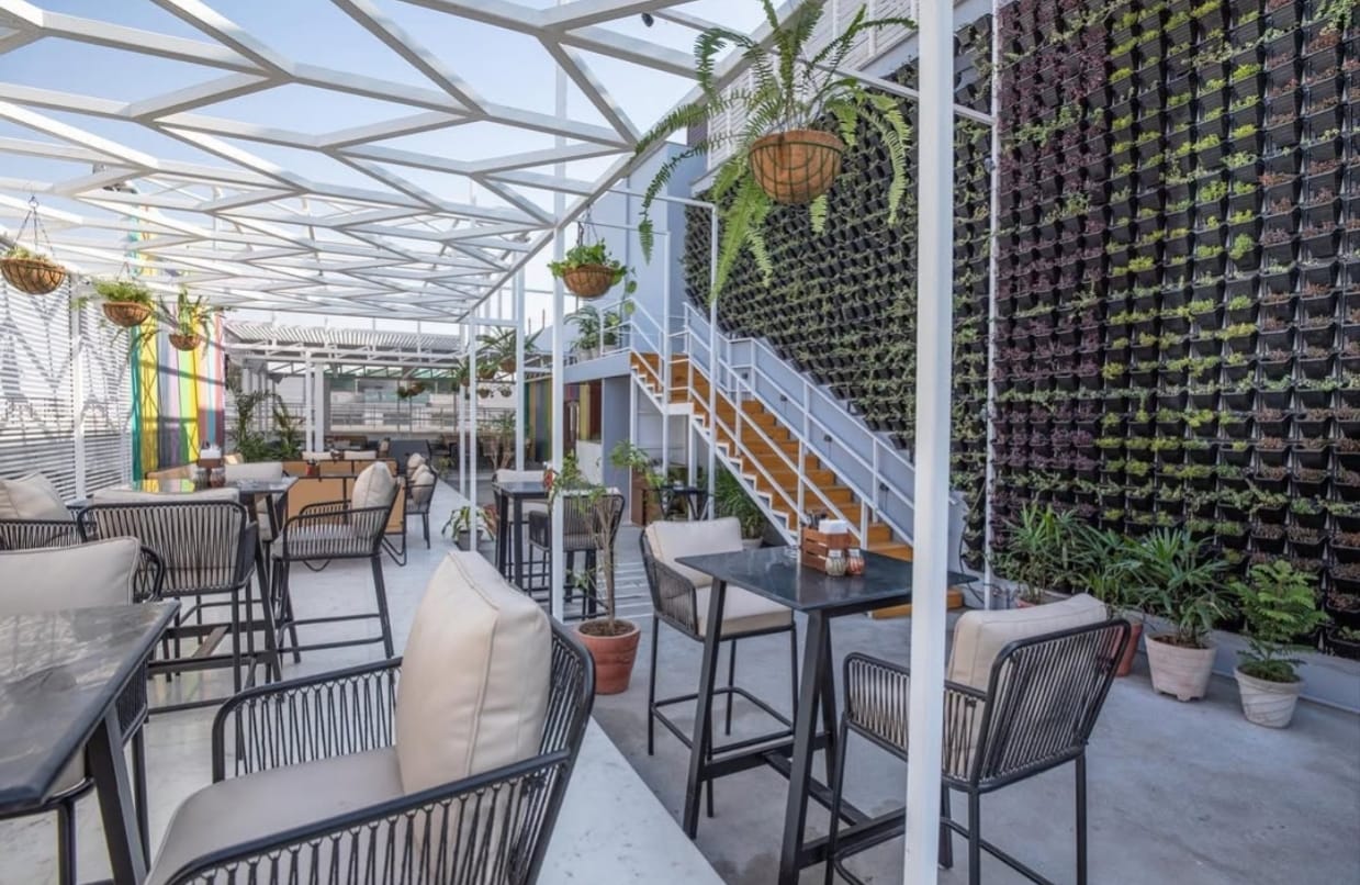 Ranglar (Hotel Raj Plaza, Jaipur)-4