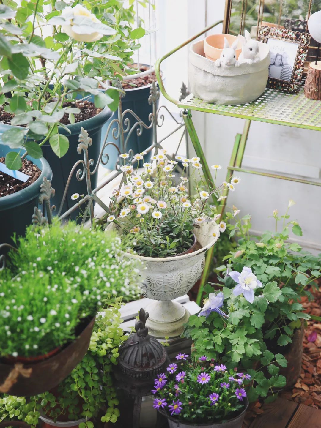 5㎡小阳台，打造治愈系小花园-86