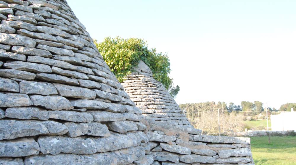 阿普利亚山丘上的现代建筑 | 白色体积与土地曲线完美融合-6