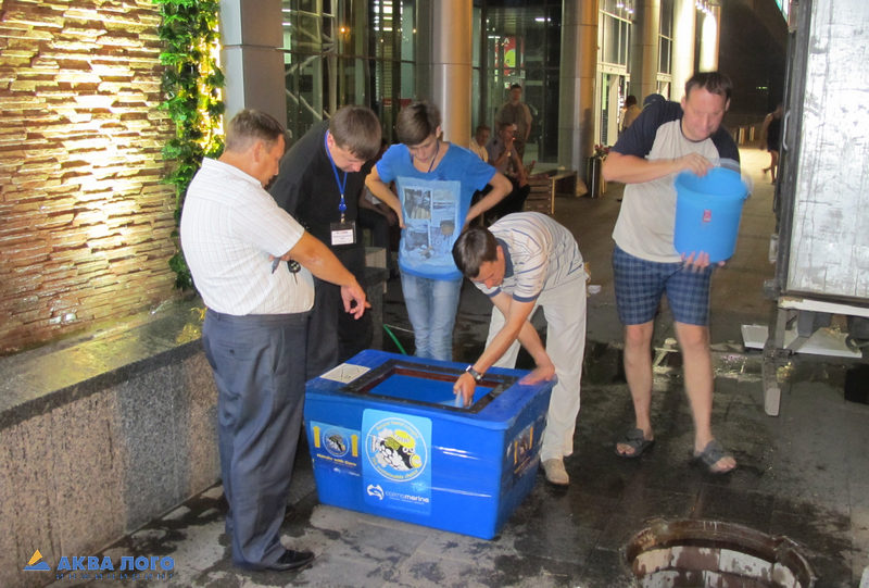 贝尔戈罗德大型海洋水族馆丨Аква Лого инжиниринг-20
