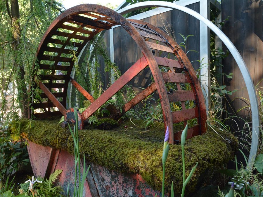 Eau de bonheur - Didier Danet - Entreprise Paysagiste-41