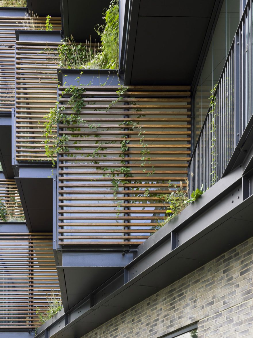 丹麦建筑师翻新公寓楼,植物填充的玻璃块打造社区空间-26