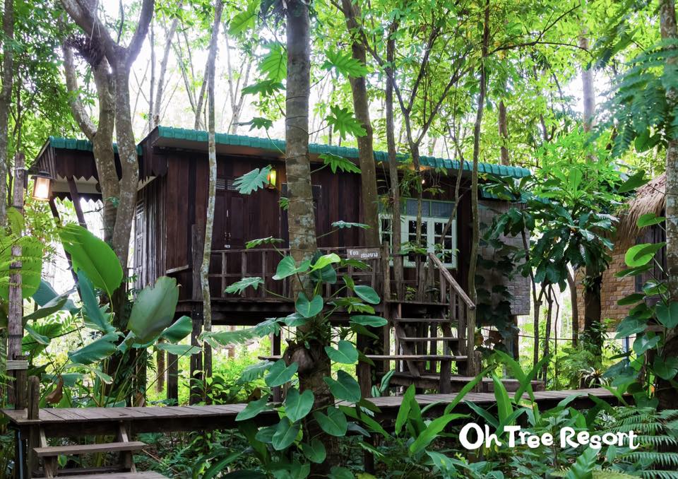 7 บ้านไม้ยกพื้นใต้ถุนสูง แบบไทยโบราณ บรรยากาศร่มรื่น - บ้านสไตล์-43