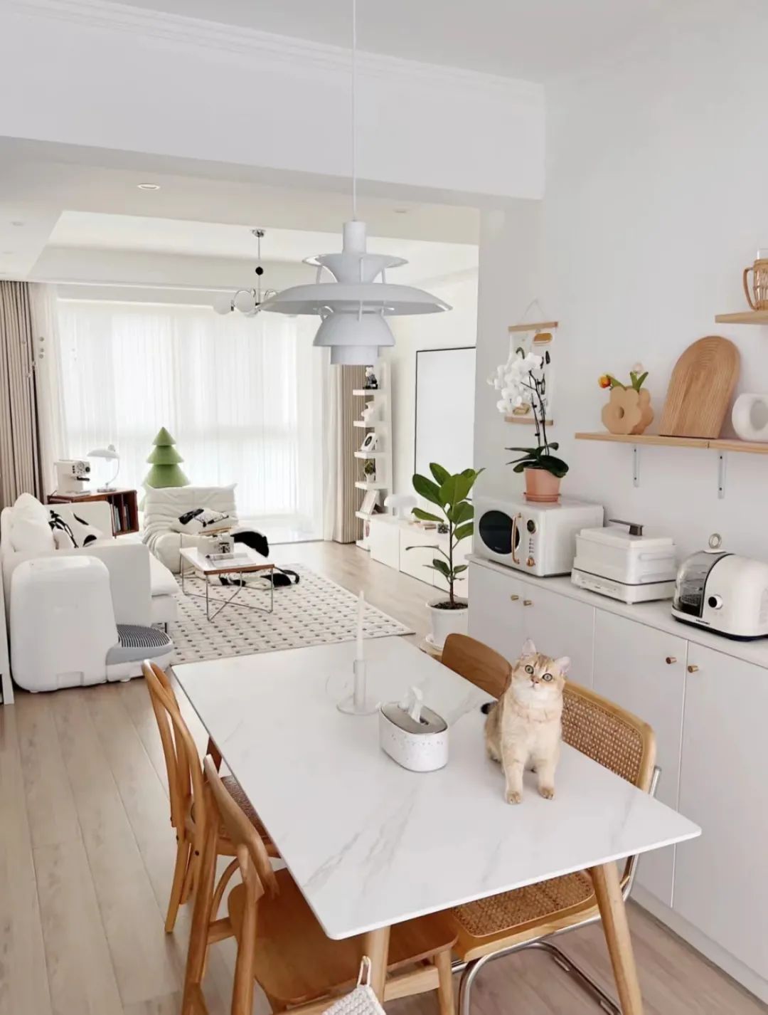 独居生活大公开 · 三大博主潮家设计-59