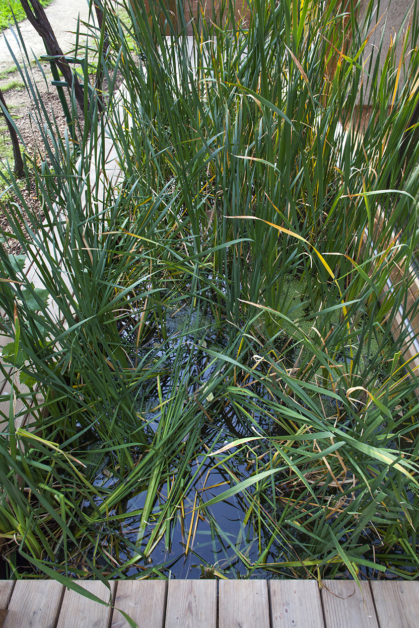 台风屋·2015年米兰世博会展览馆-35