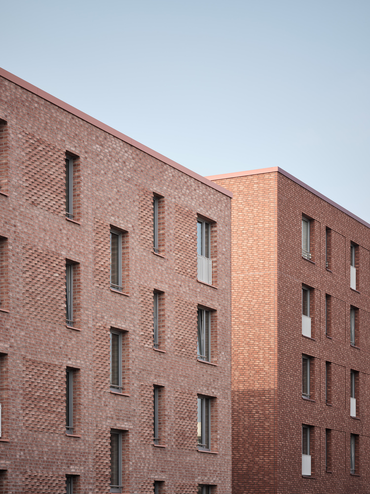 德国 BuchholzerGrün 房屋丨Busch,Takasaki Architekten-16