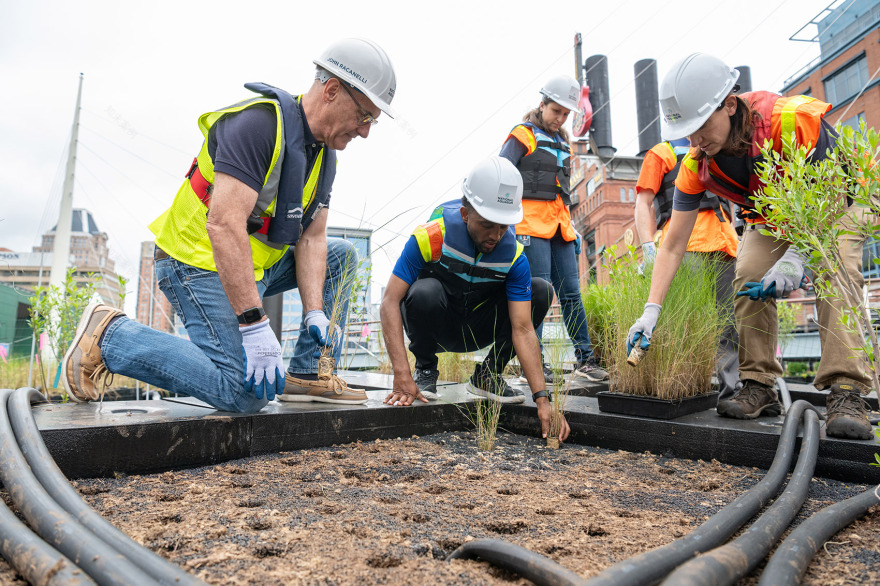 国立水族馆港湾湿地丨美国巴尔的摩丨Ayers Saint Gross 事务所-38