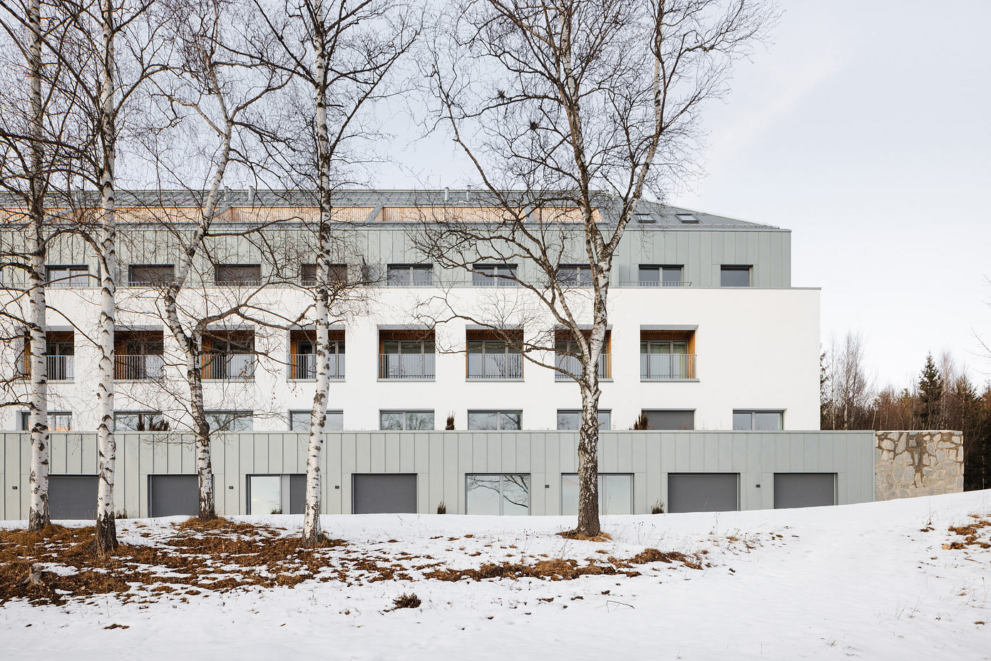 Lebenski(将塔特拉疗养院改造成山间公寓)丨斯洛伐克丨Atrium Architekti-6