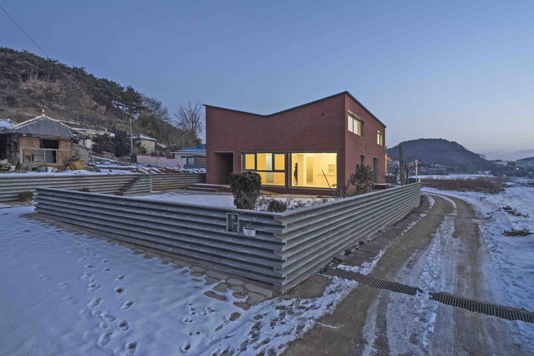 温暖阳光照亮受伤主人生活-37