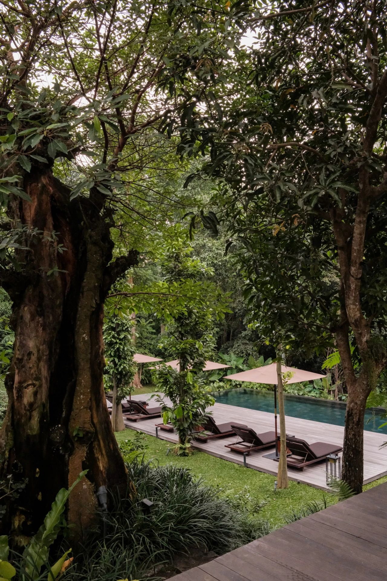 Janjisurga雨林别墅丨印度尼西亚巴厘丨Nataneka Architect-68