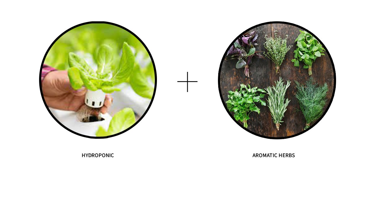 BALANCE BETWEEN LIFE AND NATURE｜抽象北欧森林中的厨电展厅-38